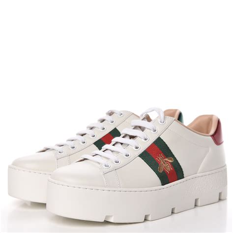 gucci sneakrr